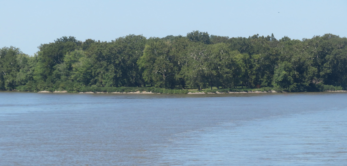 A typical Ohio River island