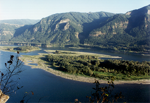 Islands in the Columbia River viewed from above the river