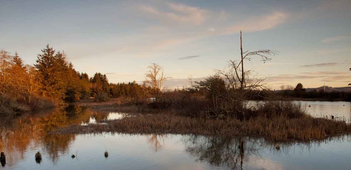 Blue sky shines above a calm coastal river