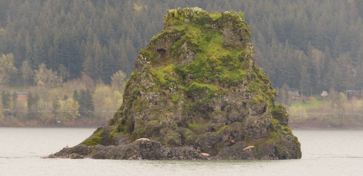 Small pointed rock in the river