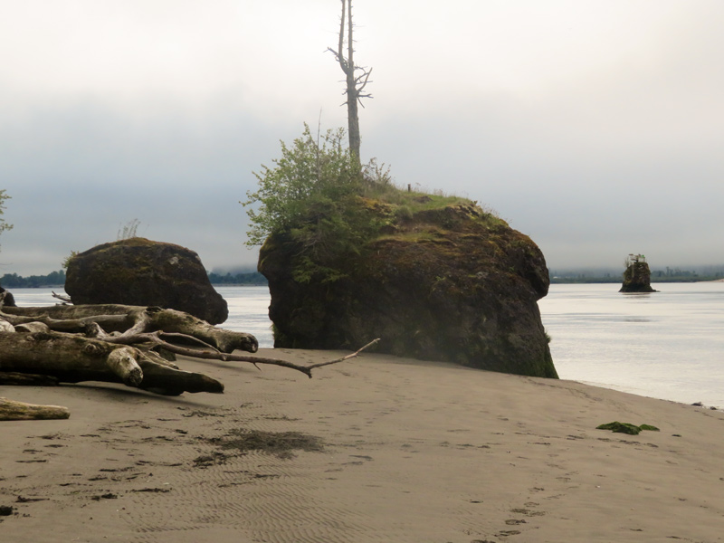 A skinny rock juts out of the river behind a sandy shore