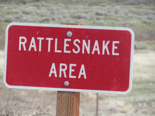 A red sign with white letters saying Rattlesnake Area