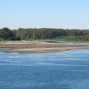 The Sandy River