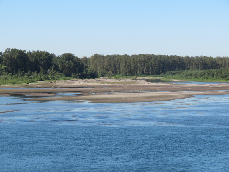 Large sandbars form above the mouth of the Sandy River