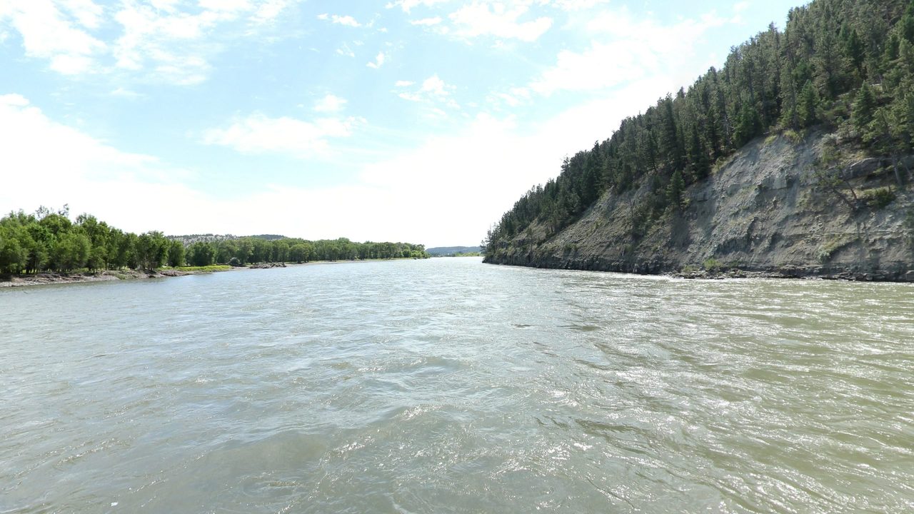 The Yellowstone River running past a steep, pine-covered bluff, with cottonwoods on the far bank, 2024
