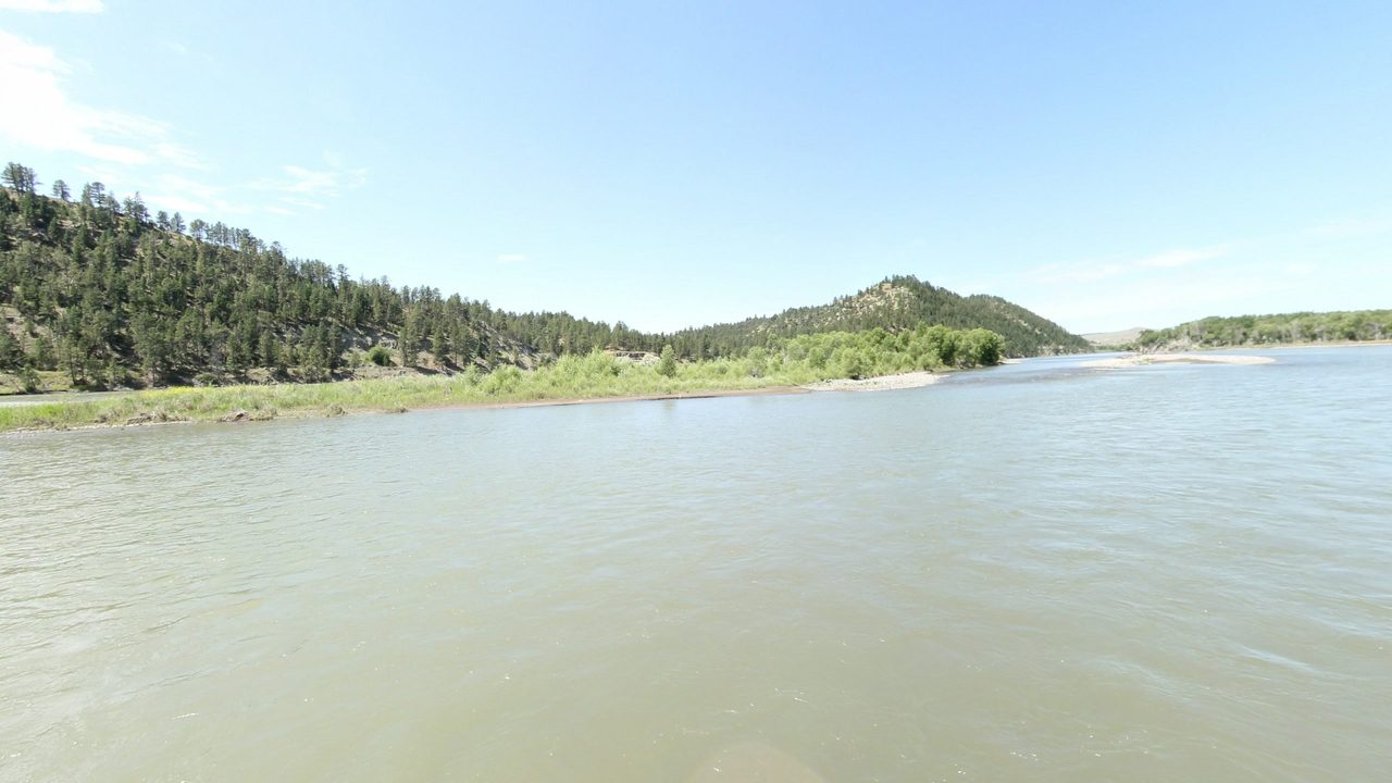 The Yellowstone River past gravel bars and willows below pine-covered hills, 2024