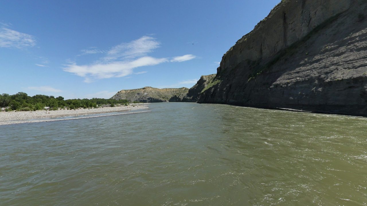 The Yellowstone River curving past a tall sandstone cliff and a gravel bar, 2024