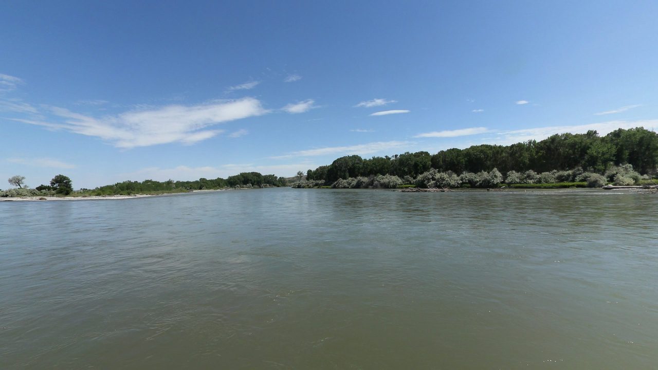 The Yellowstone River between low wooded banks under a blue sky with a few clouds, 2024