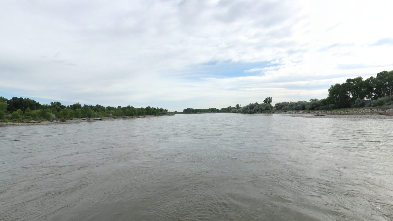 The Yellowstone River between low wooded banks under a sky of soft grey clouds, 2024