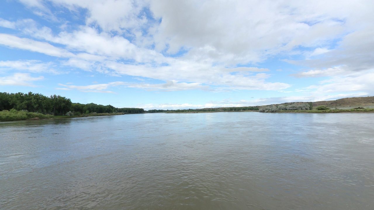 The Yellowstone River under a sky of streaked white clouds, with a wooded bank on the left, 2024