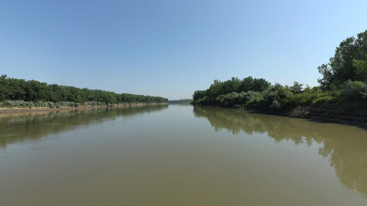 The calm Yellowstone River beside a leafy bank on the right, under a clear sky, 2024