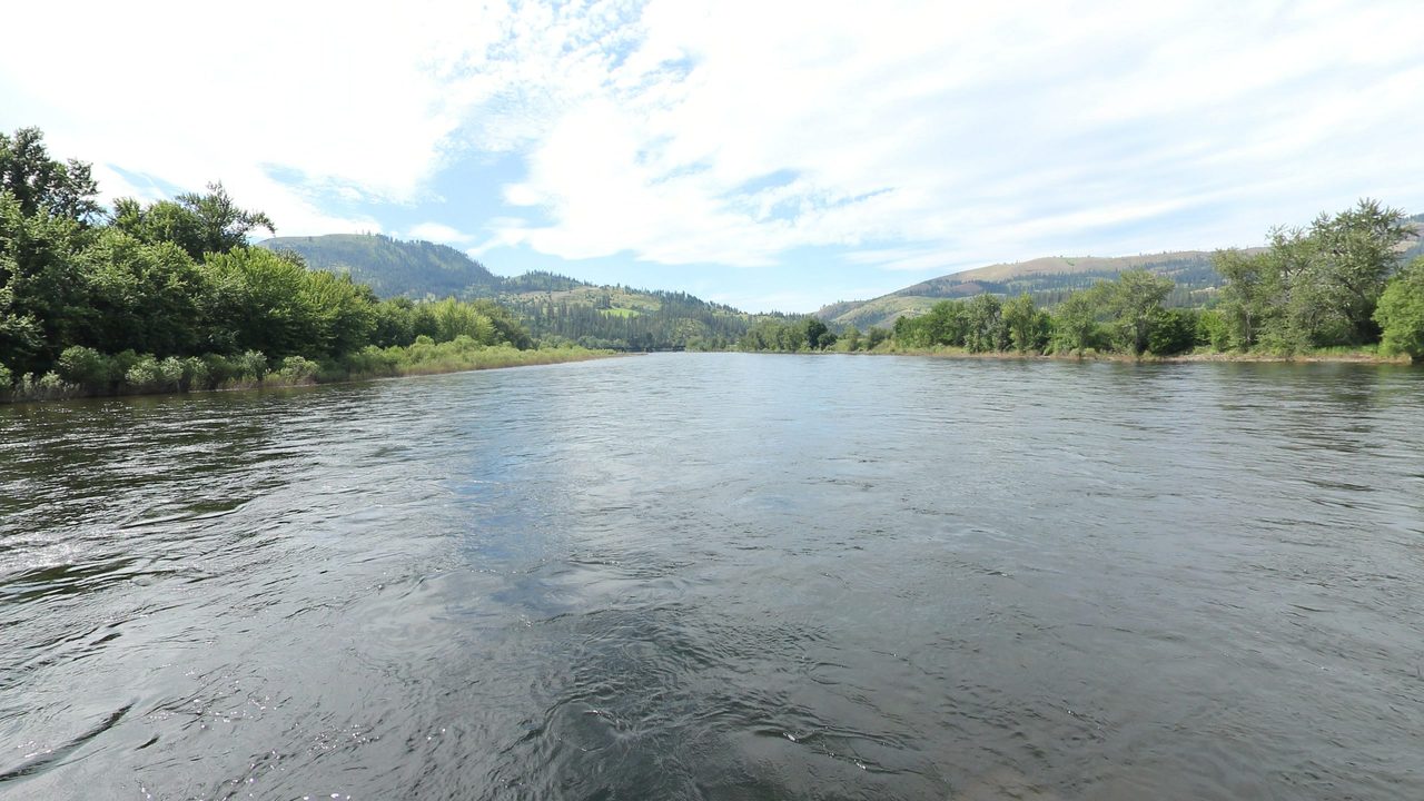 The Clearwater River between leafy banks and forested hills under white clouds, 2024
