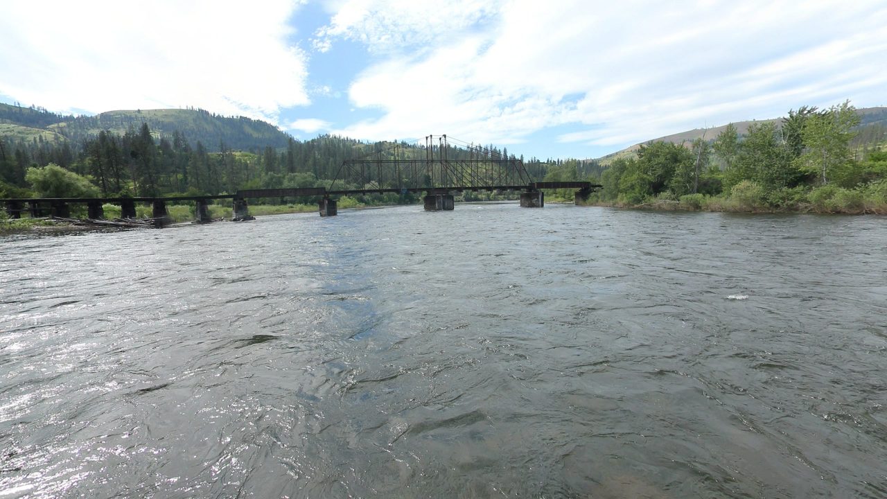 The Clearwater River flowing toward an old railroad trestle, with forested hills beyond, 2024