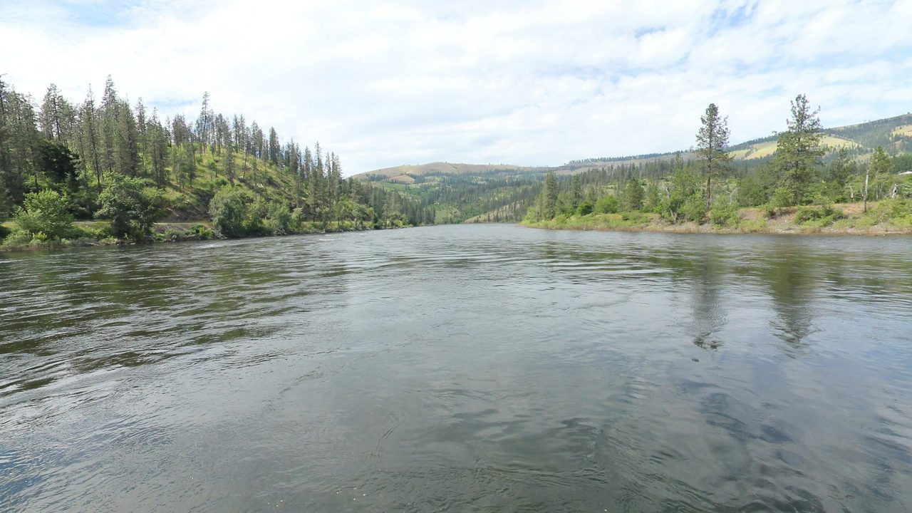 The Clearwater River between forested hills and pine-dotted slopes under white clouds, 2024