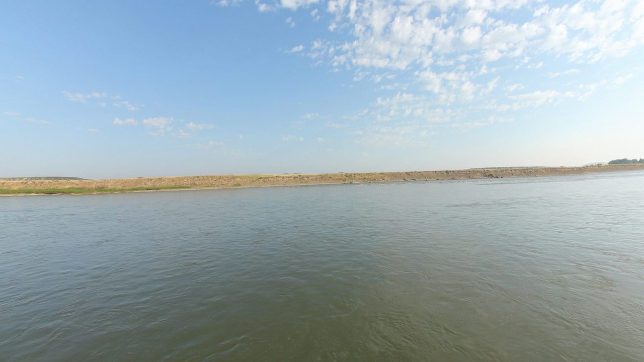 The calm Yellowstone River below a low grassy bank under high, thin clouds, 2024