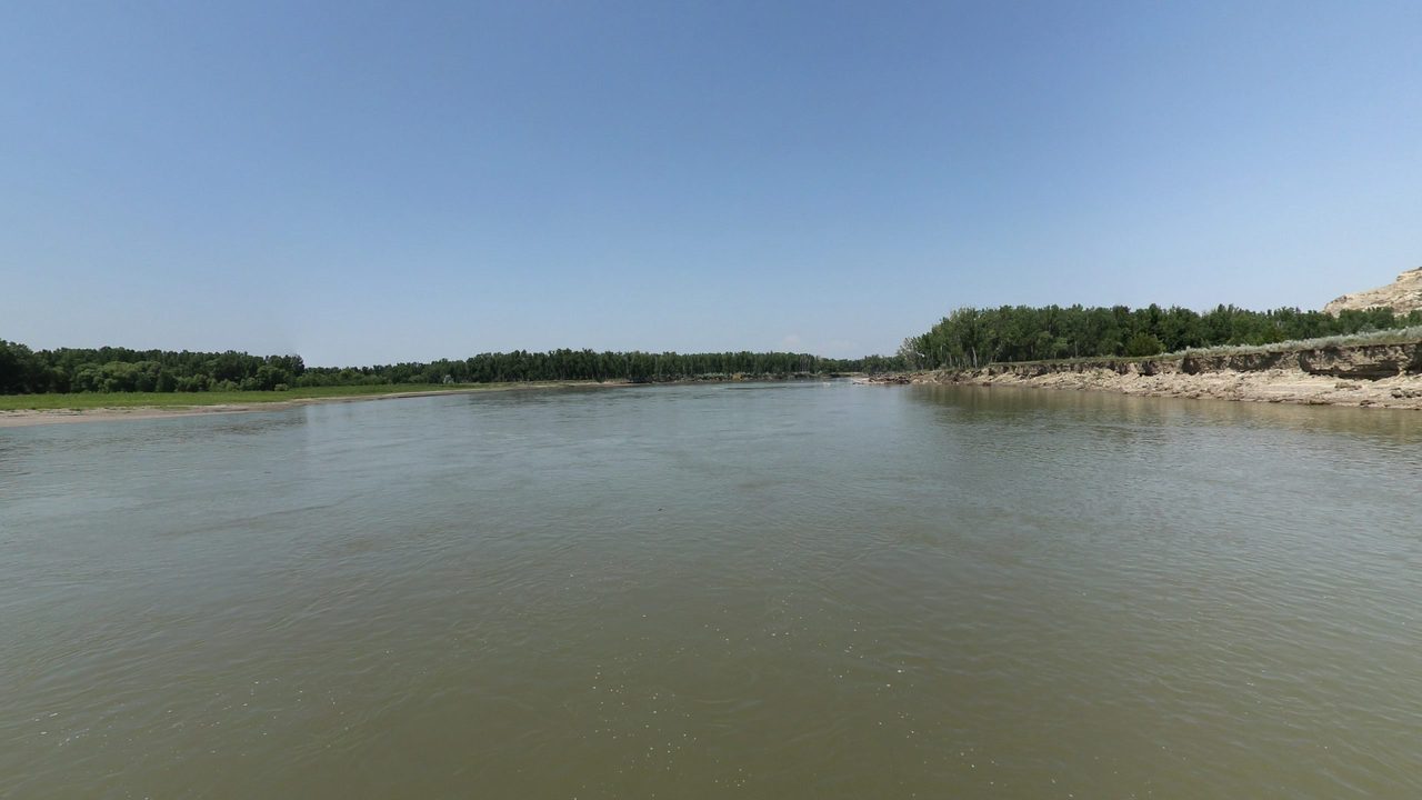 The wide, calm Yellowstone River between cottonwood groves, with a pale eroded bank on the right, 2024