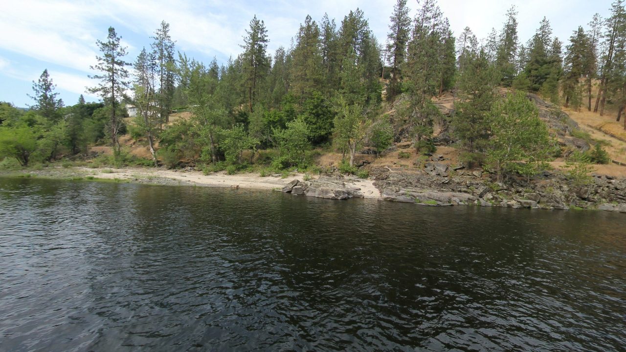 The Clearwater River beside a sandy, rocky shore below dry, pine-dotted slopes, 2024