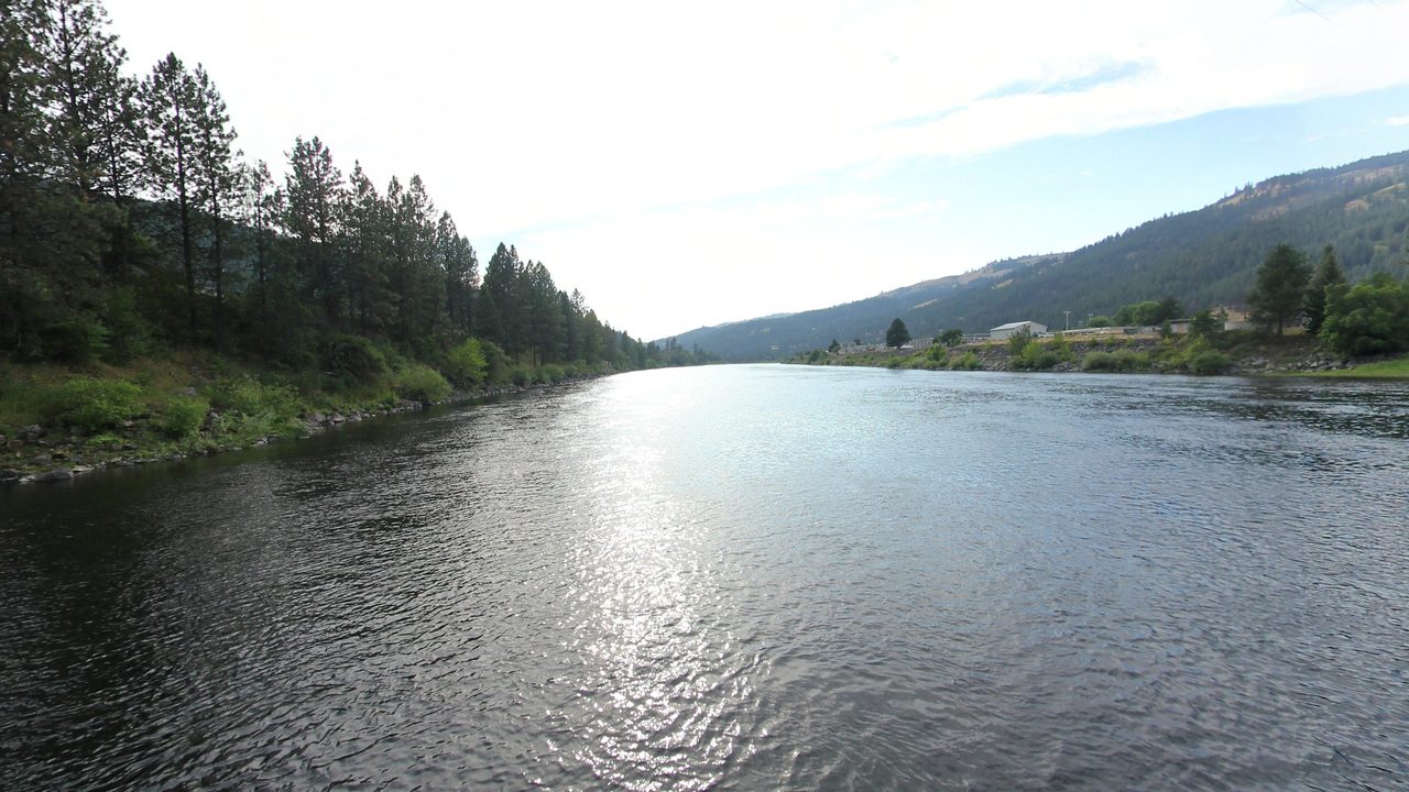 The Clearwater River flowing between pine-covered slopes and forested hills, 2024