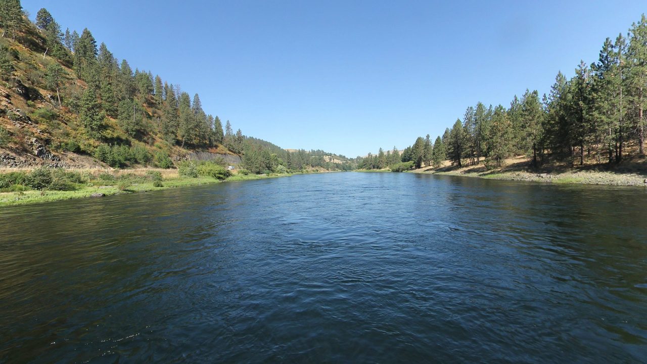 The Clearwater River between steep, pine-dotted hills under a clear sky, 2024