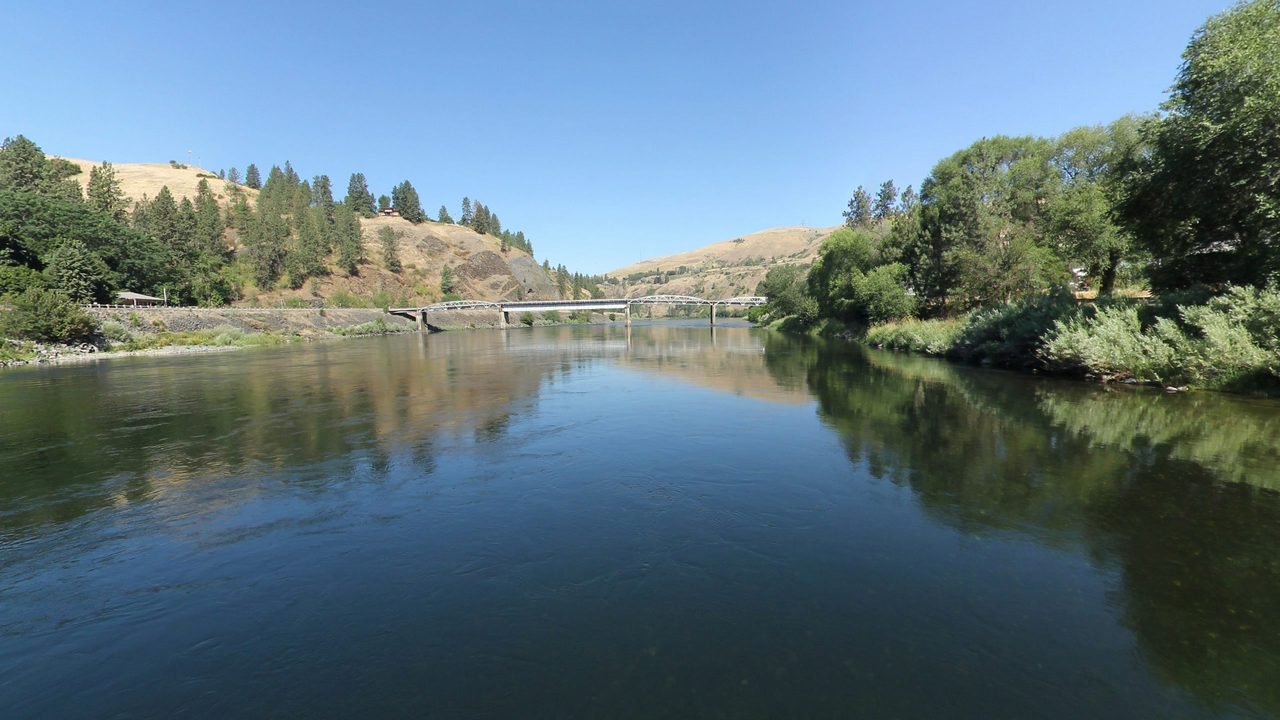 The calm Clearwater River reflecting leafy banks, with a truss bridge and dry hills in the distance, 2024