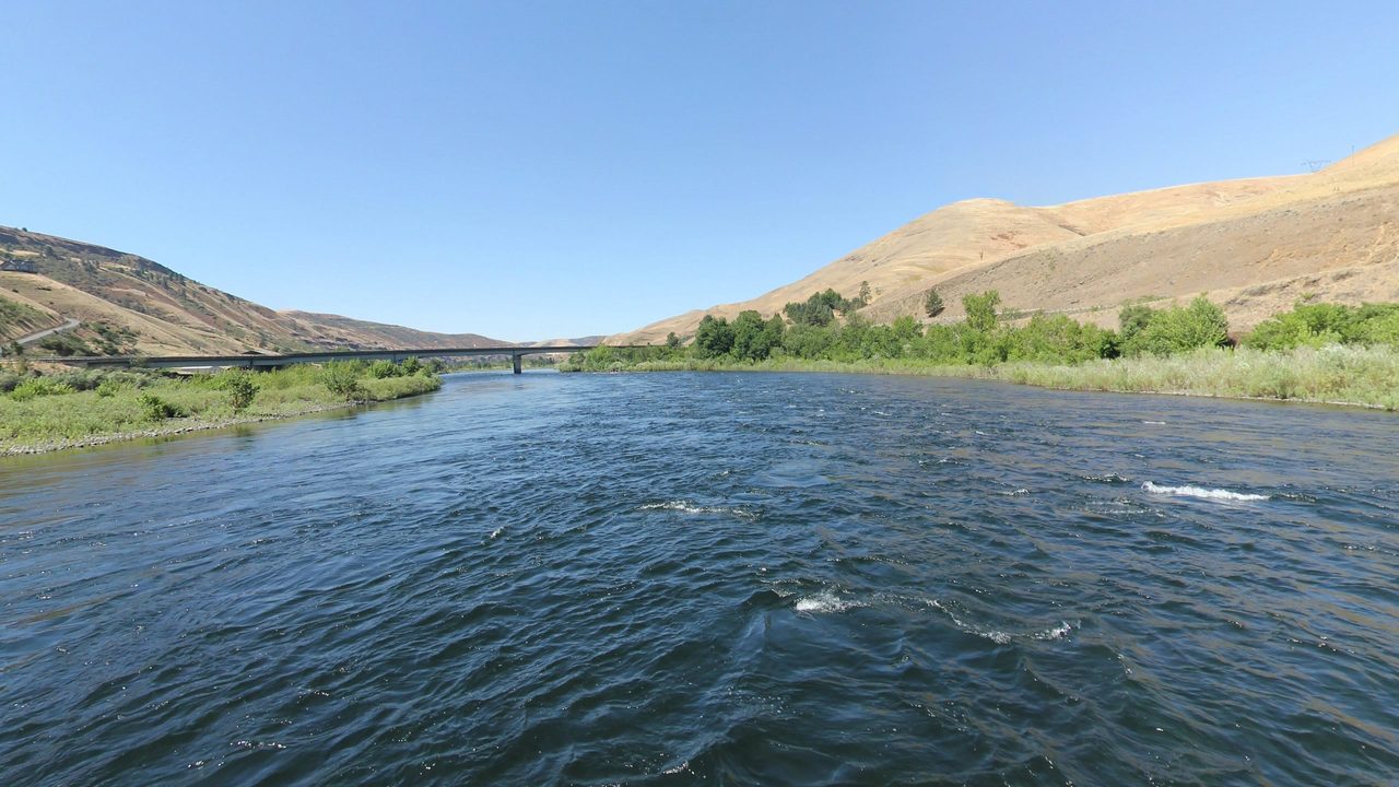 The Clearwater River flowing past golden grassy hills, with a bridge in the distance, 2024