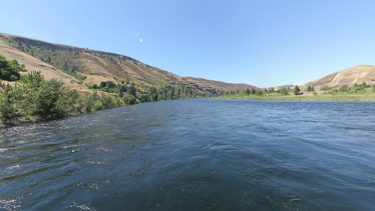 The Clearwater River between dry golden hills and leafy banks under a clear sky, 2024