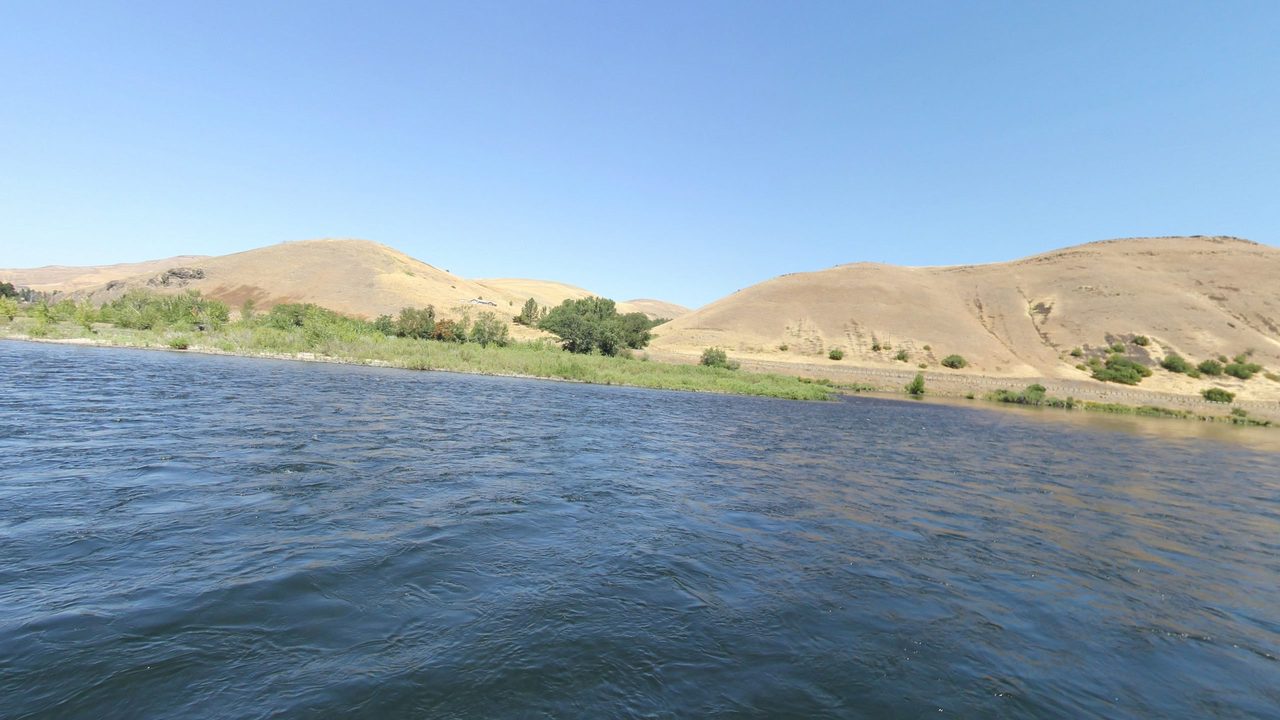 The Clearwater River beside a grassy bank below dry, golden hills, 2024