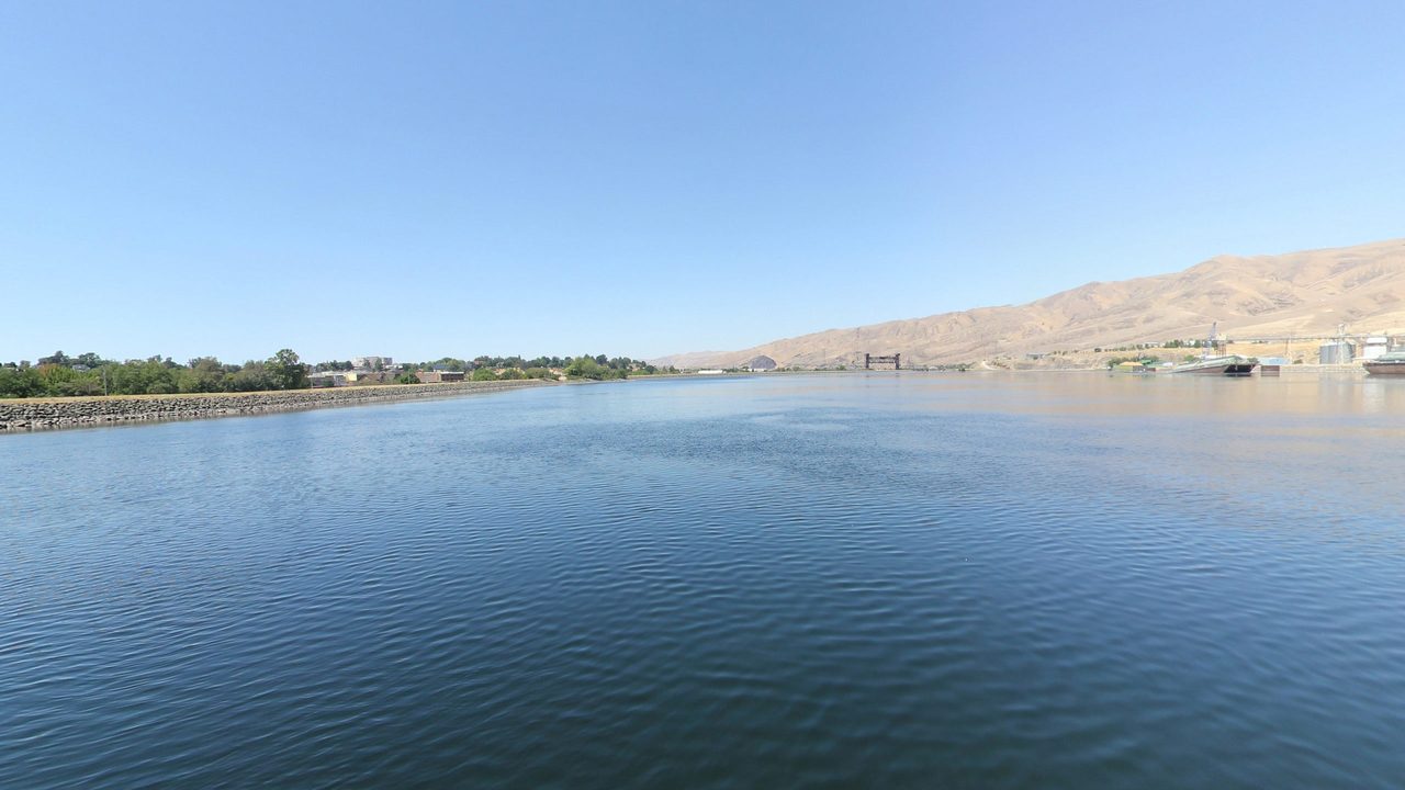 The Clearwater River below bare golden hills, with a bridge in the distance, 2024
