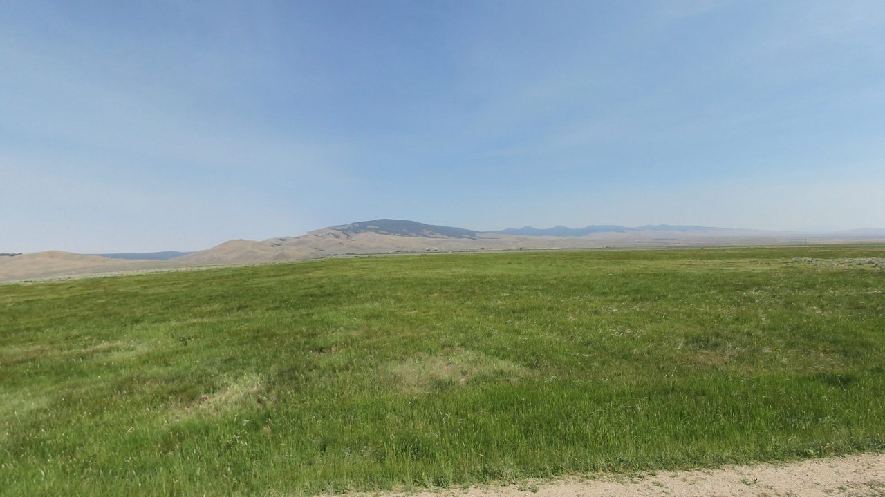 A broad green pasture below dry, rolling hills and a distant forested peak, 2024