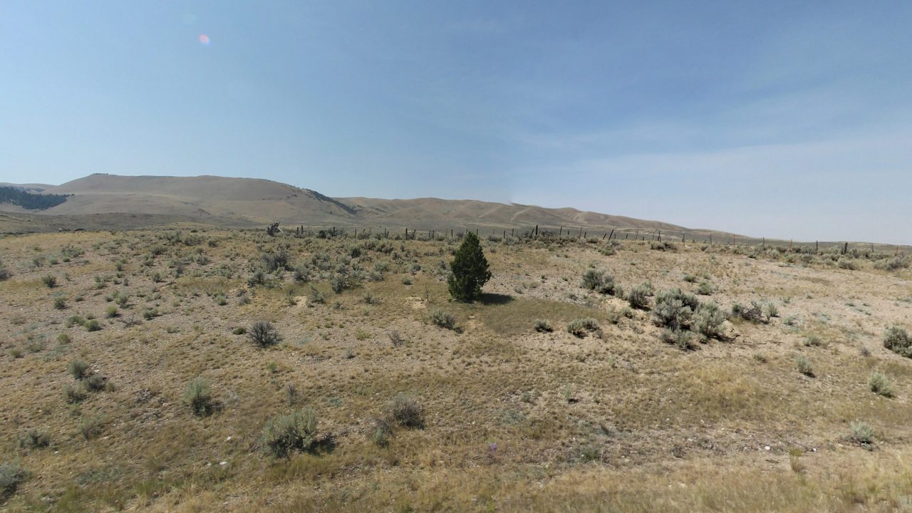 A sagebrush hillside with a lone juniper below an old fence line and dry, rolling hills, 2024