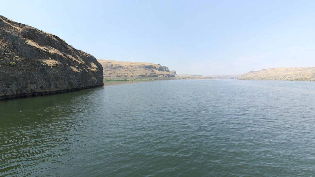 The Snake River below a dark basalt cliff, with dry hills along the far shore, 2024