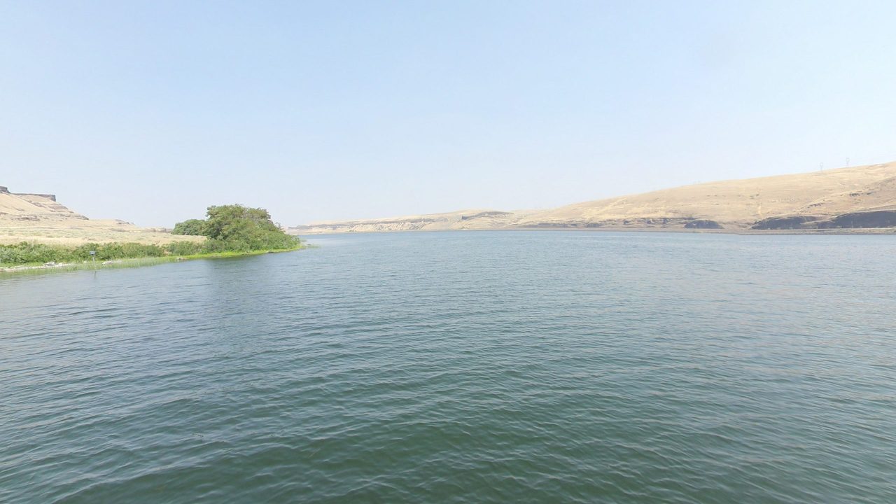 Wide, rippled water below dry golden bluffs, with a leafy island on the left, 2024