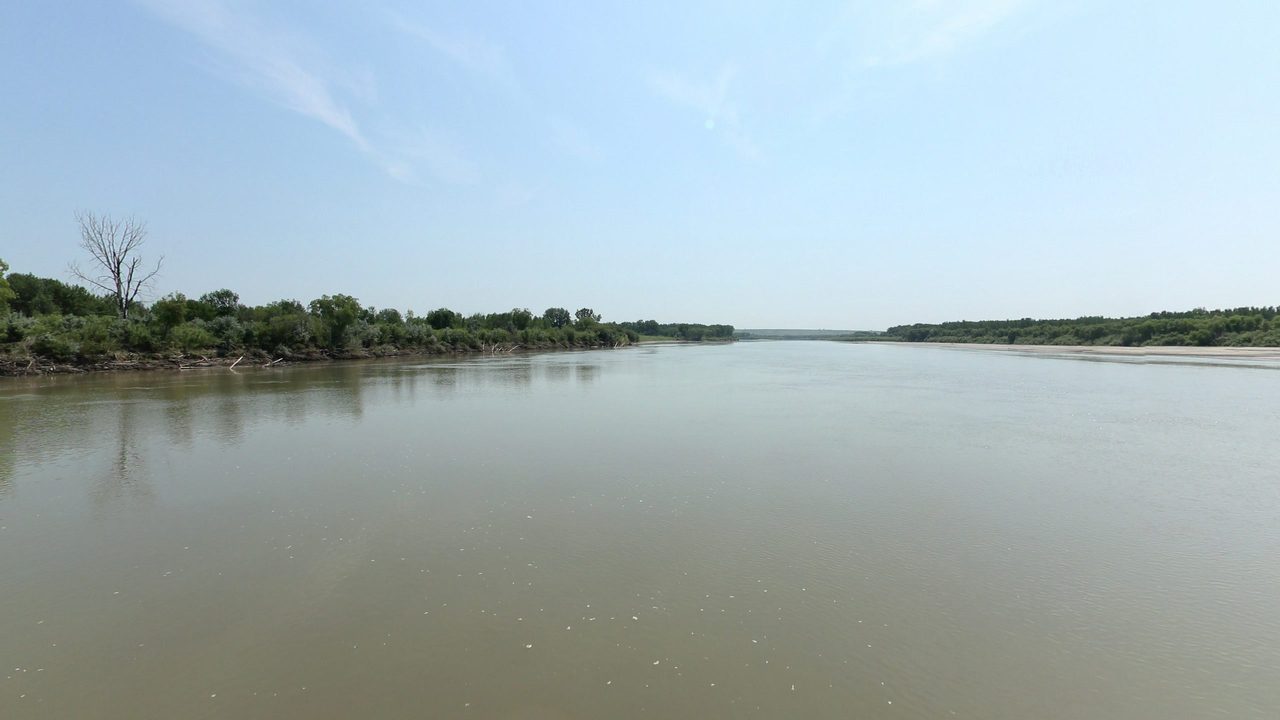 The wide Missouri River with a bare tree on a low wooded point to the left, 2024