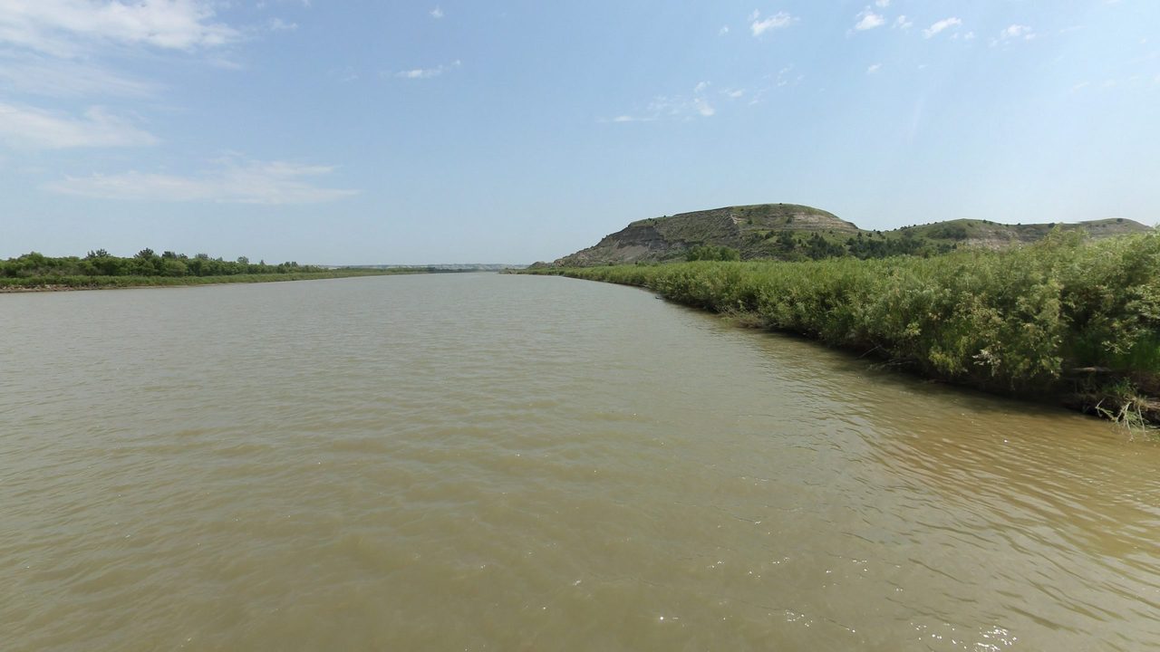The Missouri River beside a bank of green brush below a flat-topped butte on the right, 2024