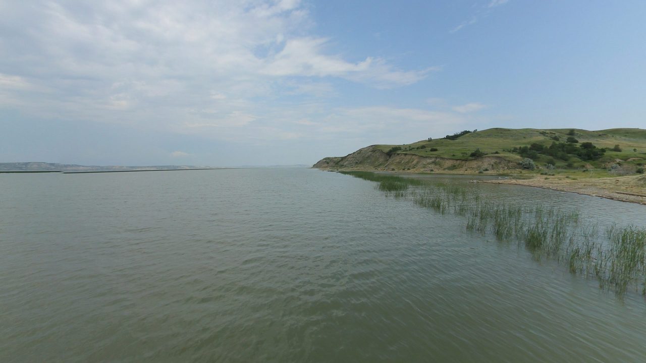 The Missouri River with reeds along a grassy point on the right, under white clouds, 2024