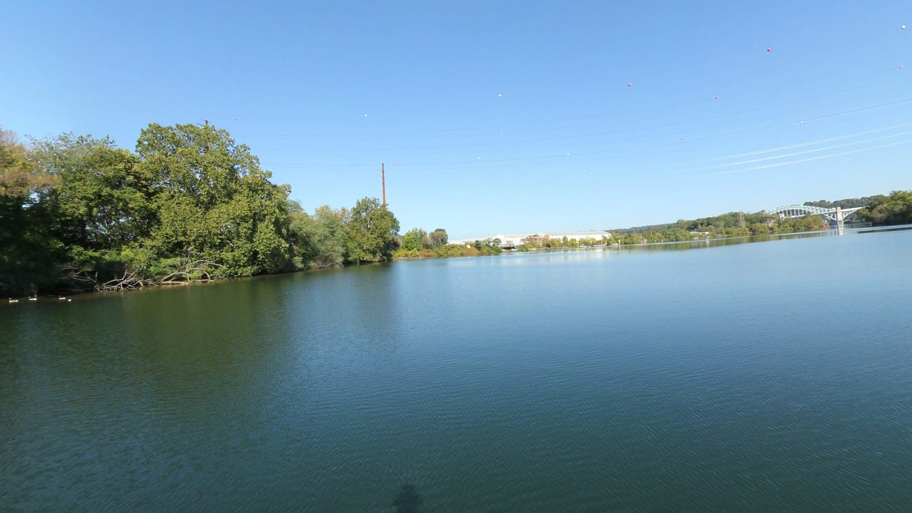 The calm Ohio River beside leafy trees on the left, with a smokestack and an arched bridge in the distance, 2024