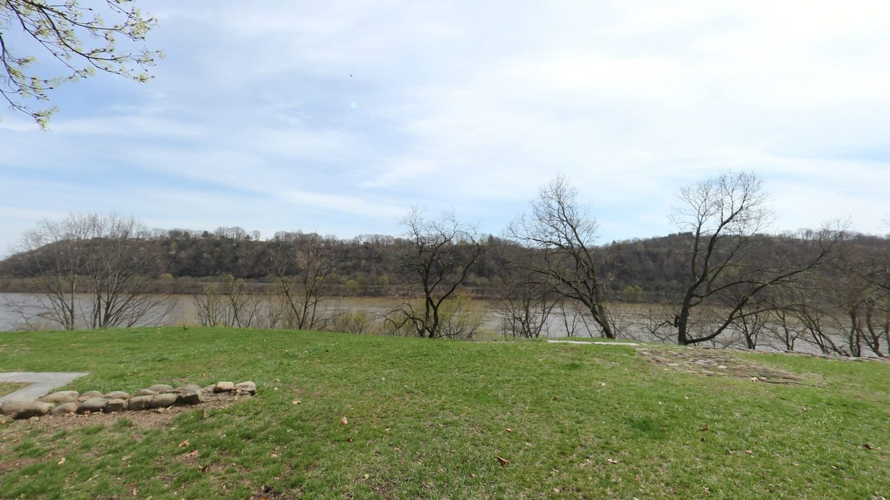 Bare trees on a grassy bluff above the Ohio River, facing a wooded far bank, 2025