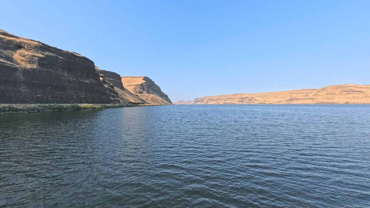 The Columbia River below tall basalt cliffs, with dry golden hills on the far shore, 2025