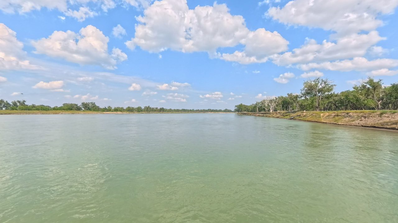 The Missouri River in green water below billowing white clouds, with trees on the right bank, 2025