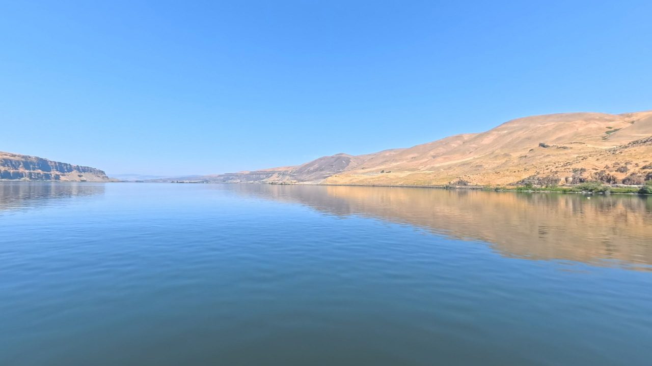 The calm Columbia River reflecting dry golden hills under a clear sky, 2025