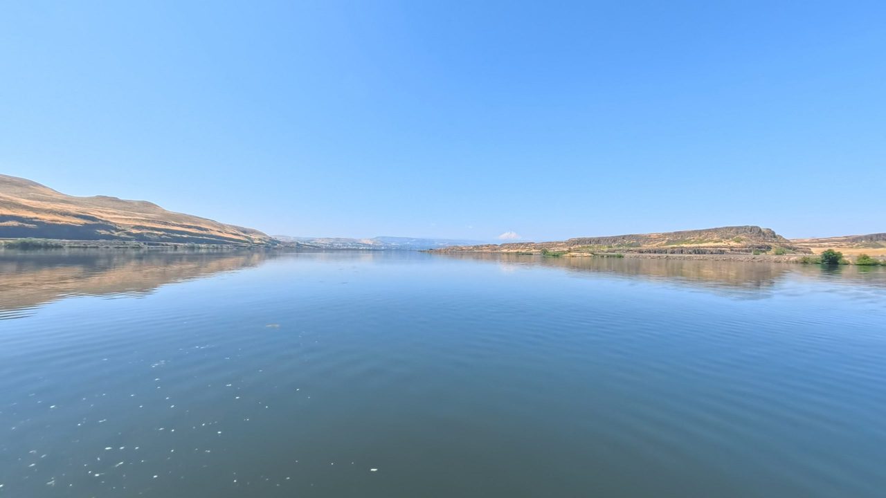 The calm Columbia River under a clear blue sky, with low hills on the far shores, 2025
