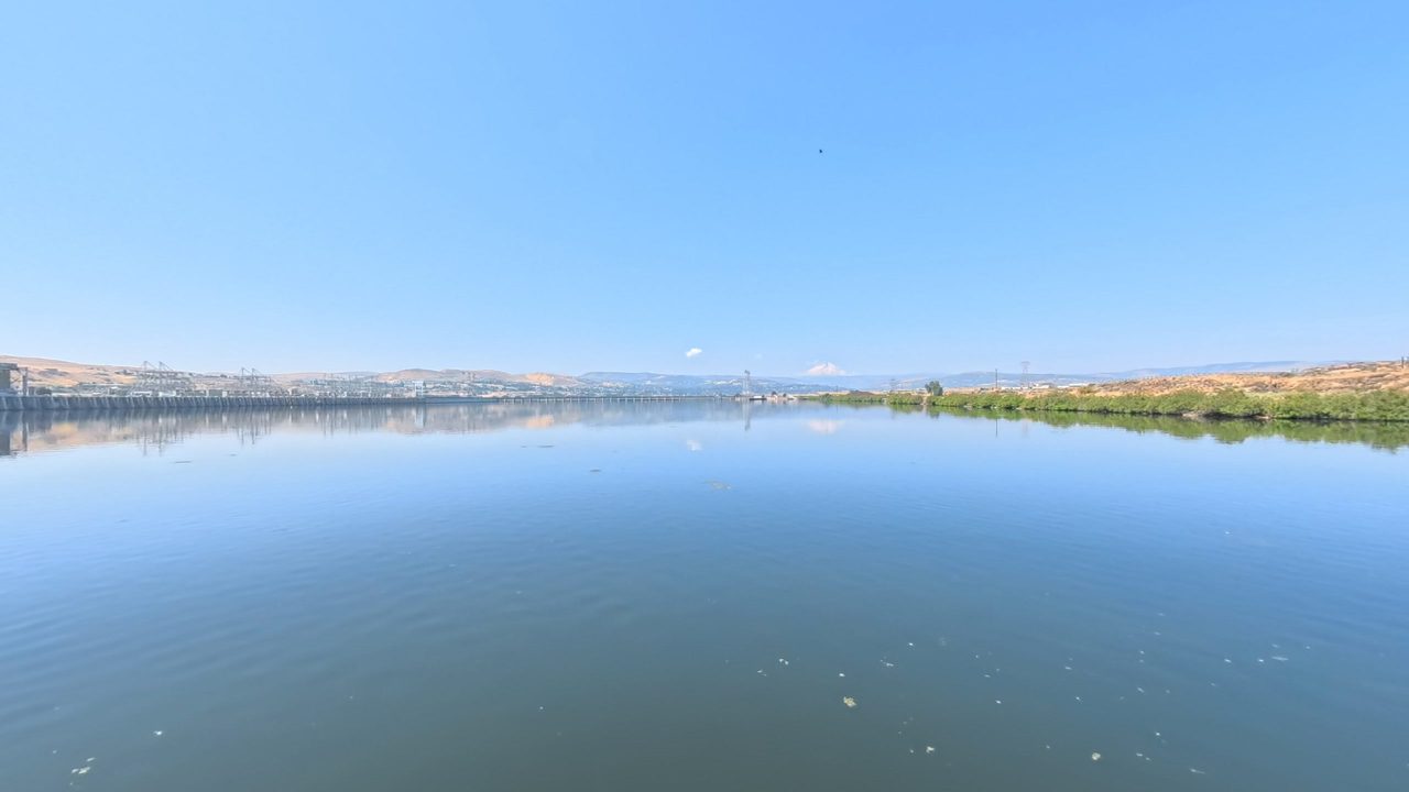The calm Columbia River toward a long dam with gantry cranes, with a brushy shore on the right, 2025