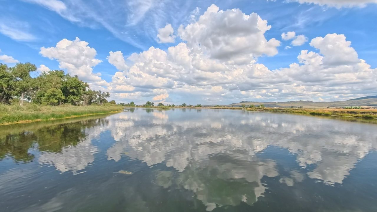 The calm Missouri River reflecting billowing white clouds, between grassy banks and cottonwoods, 2025