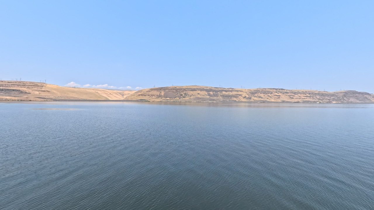 The calm Columbia River below dry, rolling hills cut by a side canyon, 2025