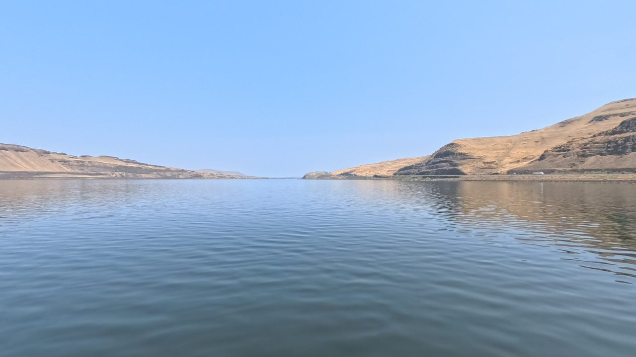 The calm Columbia River between dry, golden hills, 2025