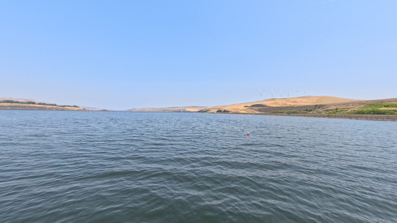 The Columbia River between low golden hills, with wind turbines on the far ridge and an orange buoy on the water, 2025