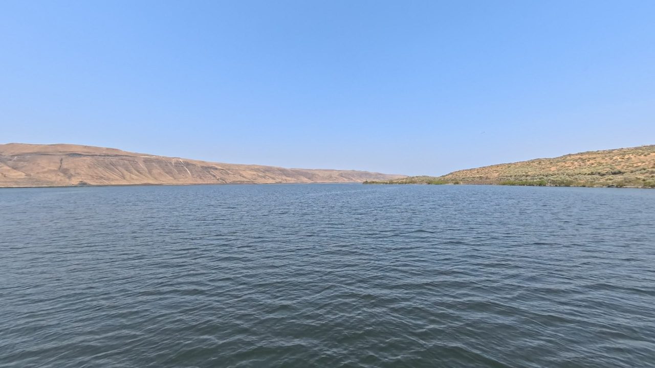 The Columbia River between dry, rolling golden hills under a clear sky, 2025