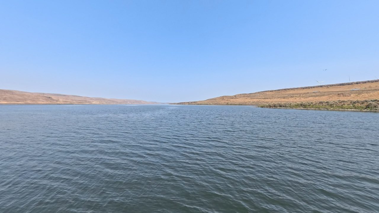 The wide Columbia River under a clear sky, with low brown hills on both shores, 2025
