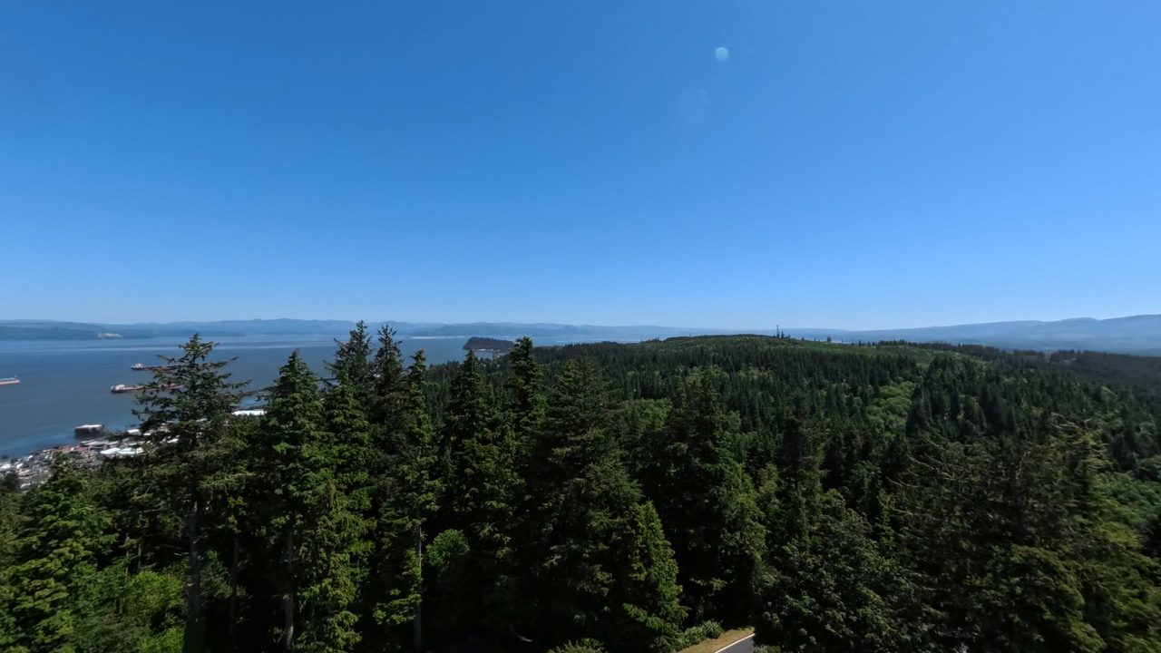 A view over dark conifers to a wide bay with anchored cargo ships and distant hills under a clear blue sky, 2025