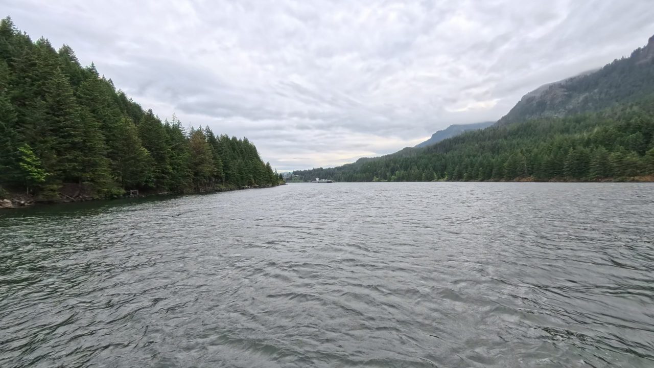 The Columbia River below steep forested slopes, with a towboat and barges along the far shore, 2025